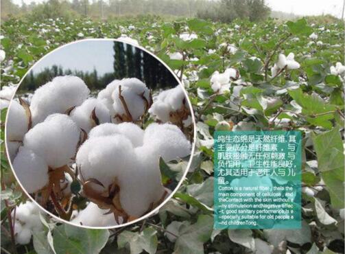 純棉工作服定做 純棉工作服定做